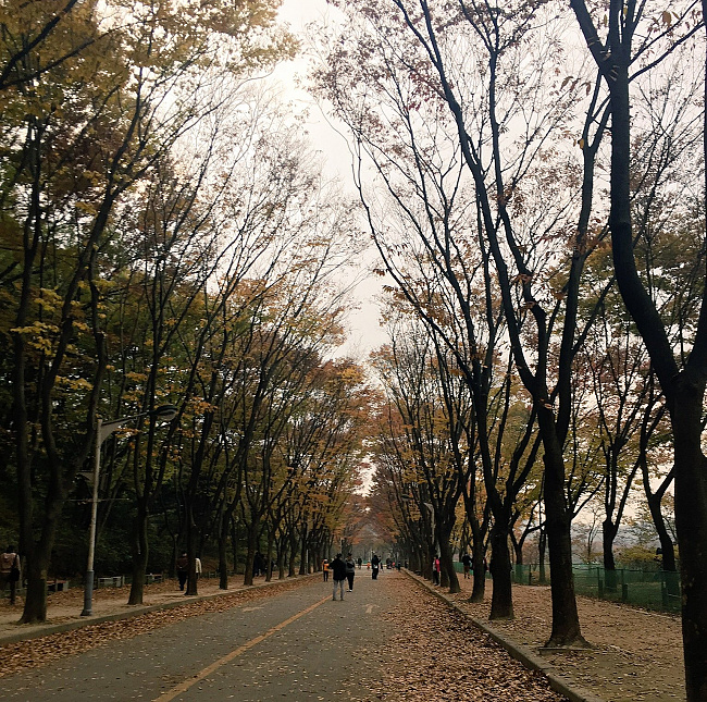 Jalan-jalan musim gugur Incheon Park