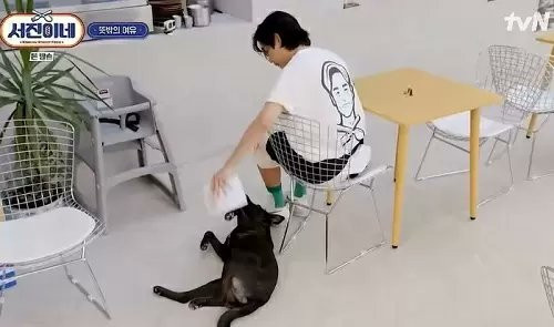 Kedekatan V dan Perro di Jinny's Kitchen