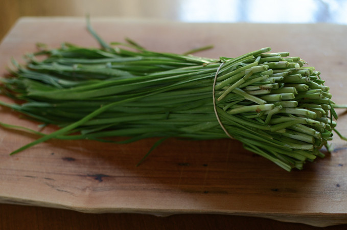 buchu kimchi daun kucai