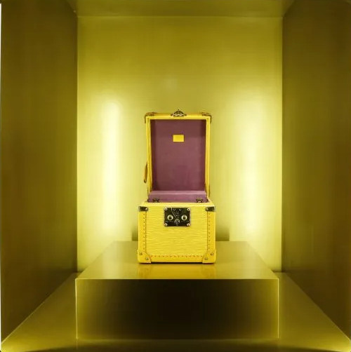 brand louis vuitton