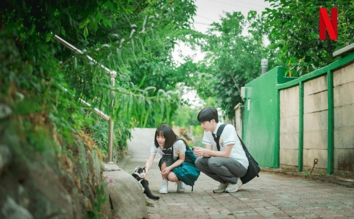 netflix merilis still drama a time called you