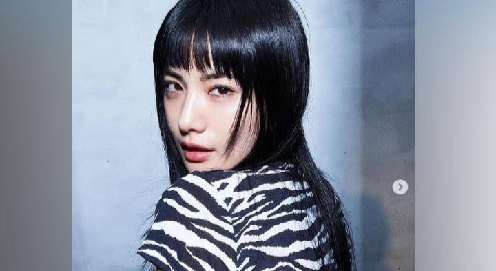 nana dapat tawaran berperan bareng lee min ho