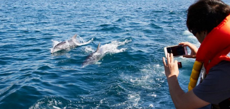 Tempat Wisata untuk Animal Lovers 