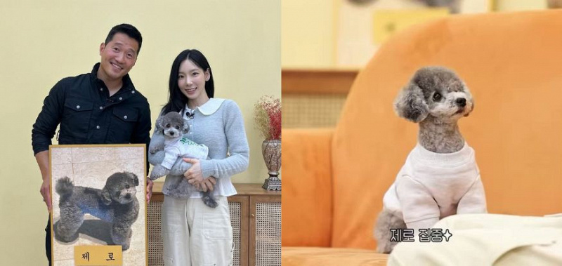 zero anjing peliharaan taeyeon